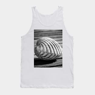 Sea shell on wood Tank Top